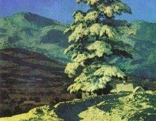 18160. Пэрриш, Maxfield