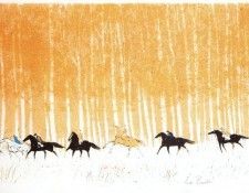 46519. Brasilier, �����