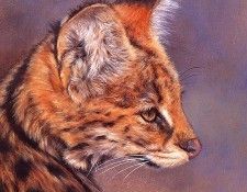 lrs-AldrichEdward-Serval. Aldrich, 