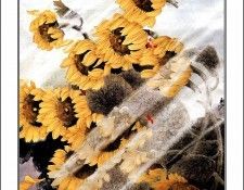 CSCU aping 2k3 wang ke yin 027. ��� ��� ��