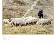 c2211 CSCU JH FOP 17 Old Shepherd. �� �����