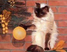 Lyn Estall - Finishing Touch, De. Estall, 