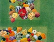 41270. �������, �������