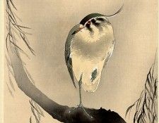 pic09368. �����