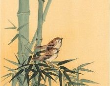 pic02282. �����