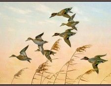 GrommeOwen-ScurryingGreenbacks (sj-art353). Gromme, ���� J