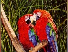 GillilandLaura-RolloAndRuby-sj. Gillihand, 