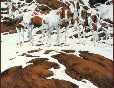 lrsDoolittleBev Pintos. �������, ���