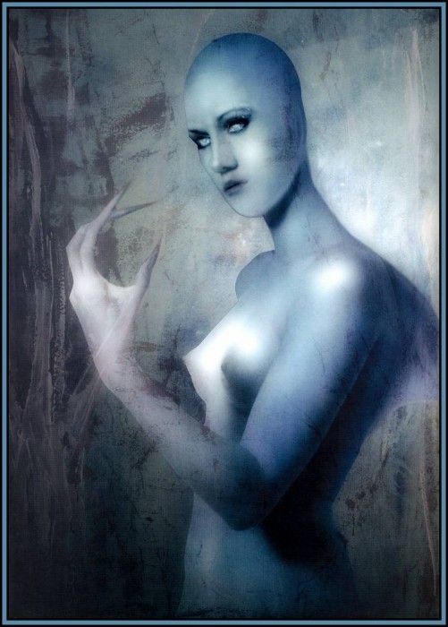 D50 Ward Chad Michael Black Rust 39. ����, ��� �����