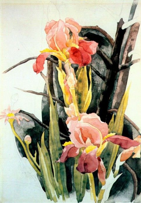 demuth flowers- irises c1925. , 