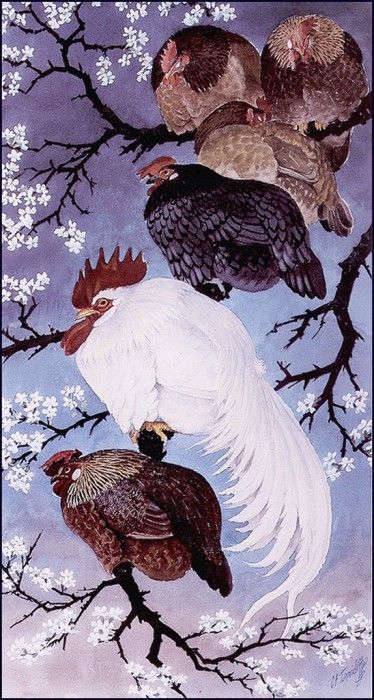 43614. Tunnicliffe, 