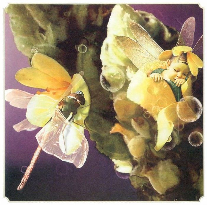 kb Cross Tom Aut Mullein Fairy. , 