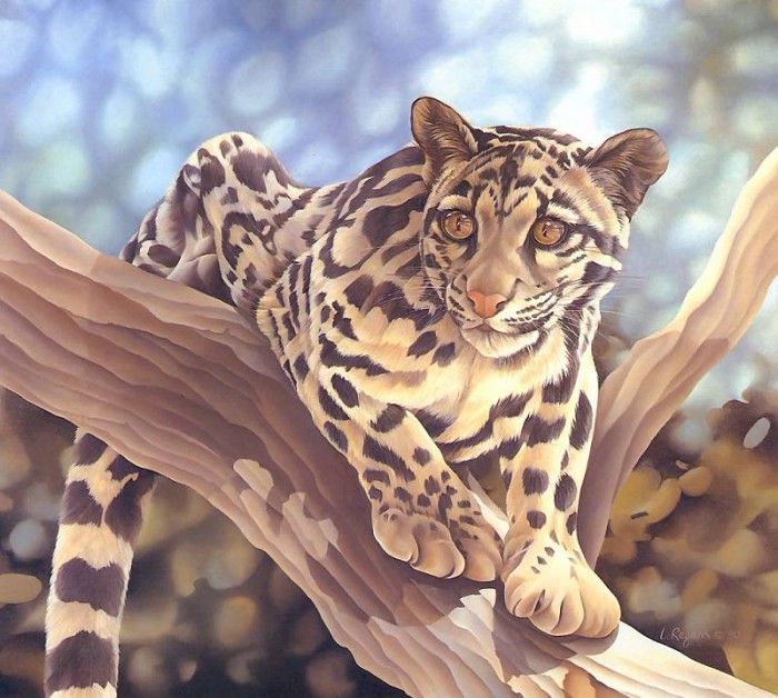 s4-vanishingspecies025 ocelot. , L