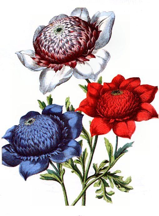 Barbara Milo Ohrbach - A Token of Friendship 10, De. Ohrbach,  Milo