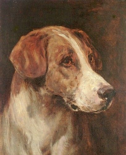 Head of a Foxhound. , 