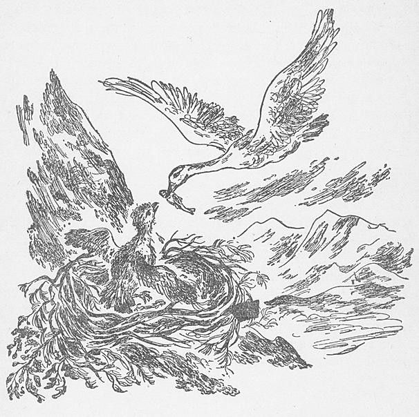 am chapter28. ��������, �����