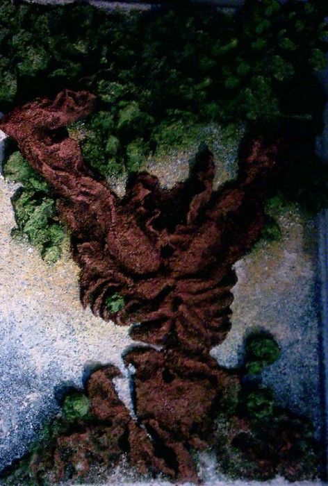 26965. �����, ����� �����