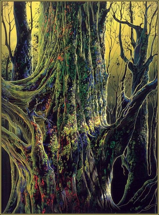 lrsEG013EarleEyvind AncientTree. , 