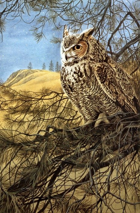 Parker, Ron - Great Horned Owl (end. , 