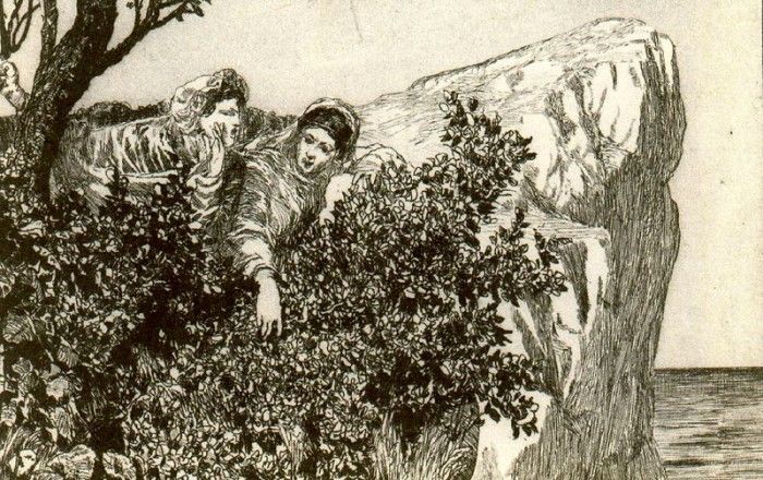 18346. �������, ����