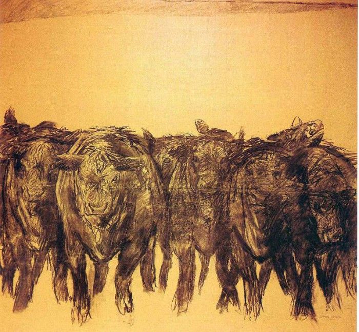 File8972. Wyeth, 