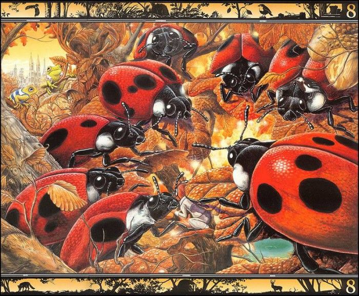 lrsBaseGraeme Waterhole08Ladybugs. , 