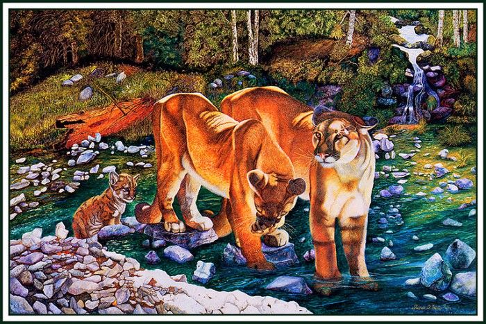bs-na- Susan D Trisko- Cougar Crossing. Trisko,  D