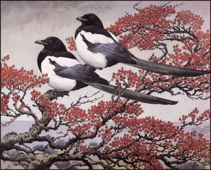 43627. Tunnicliffe, 