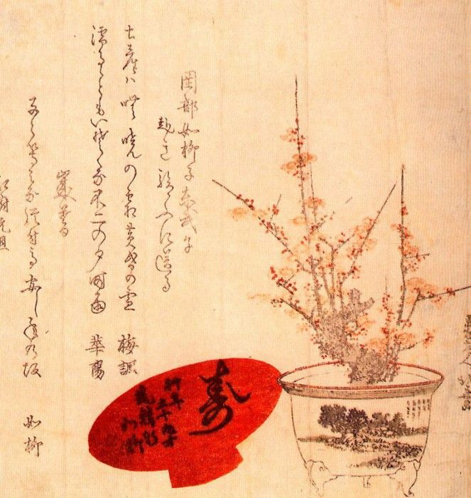 pic09474. �������