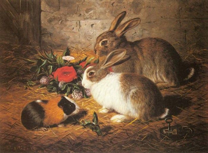 Barber Alfred R Escaped Two Rabbits And A Guinea Pig. ,  