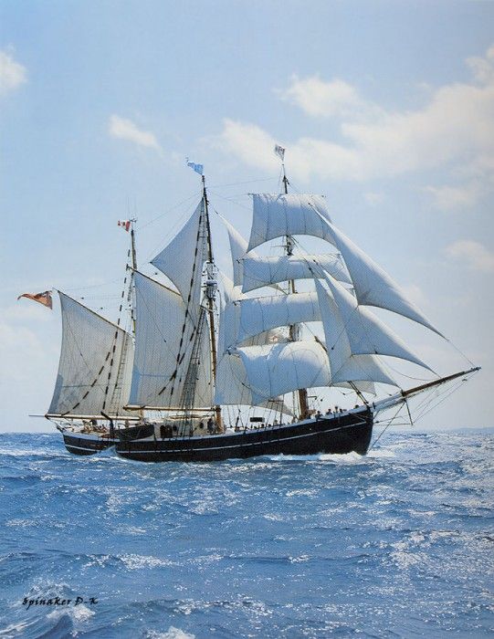 dk tall ships our svanen barquentine lyr 1922. 