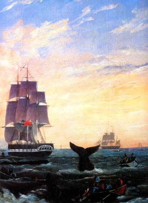 MPA William Duke Offshore Whaling with the Aladdin and Jane, 1849-[ R ] sqs.  