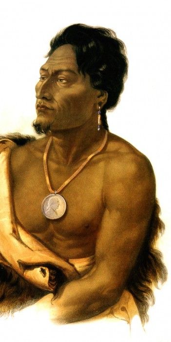 Tna 0039 Chief of the Puncas Karl Bodmer, 1833 sqs. , 