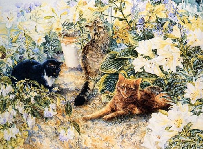 Fotherby, Lesley - Cats (end. Fotherby, 