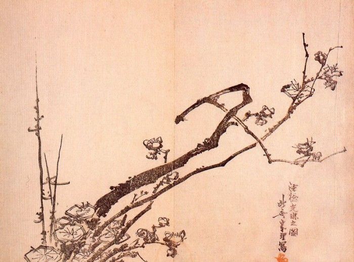 pic09596. �������