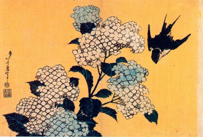 pic09509. �������