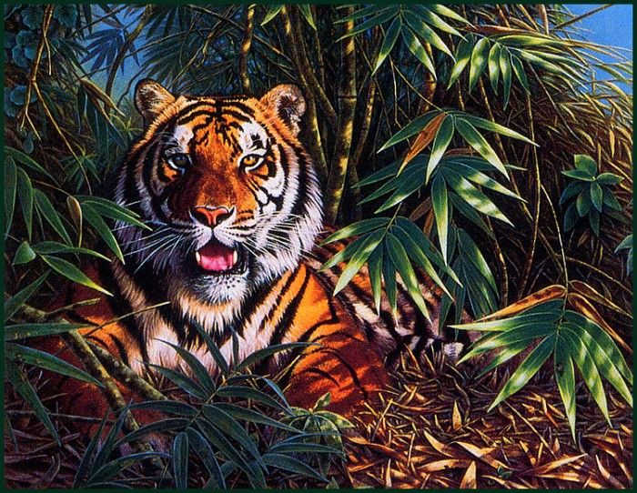 bs-na- Joan Sharrock- Tiger Tiger. , 