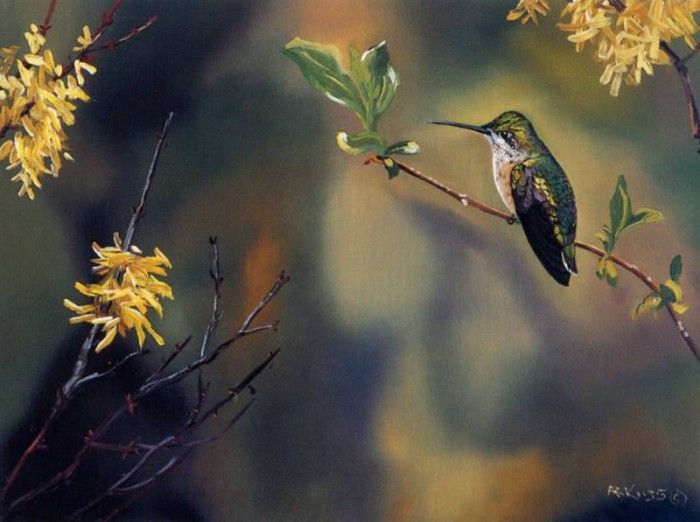 Andrew Kiss - Hummingbird, De. , 