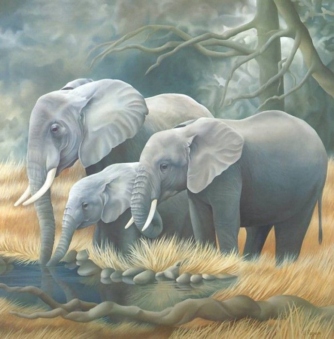 s4-vanishingspecies006-africanelephant. �����, L