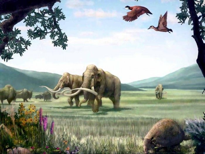 dinosaurs csg002 pleistocene. , 