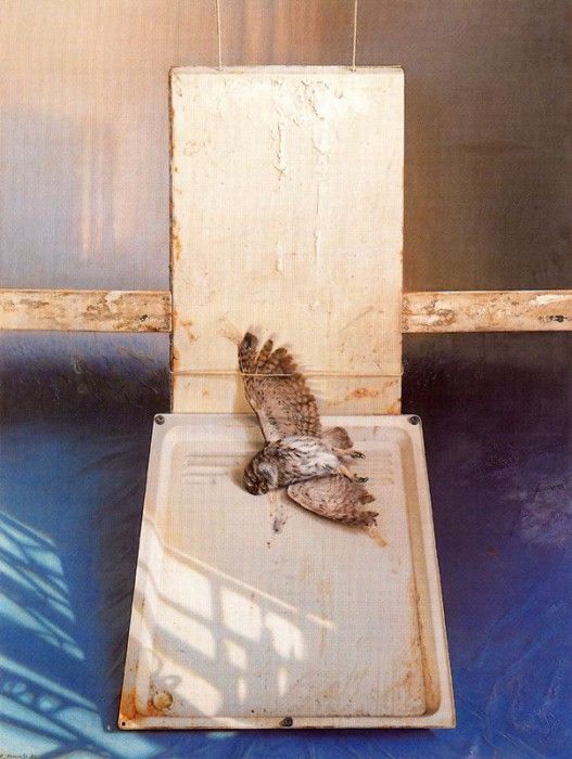 38070. �������, �������