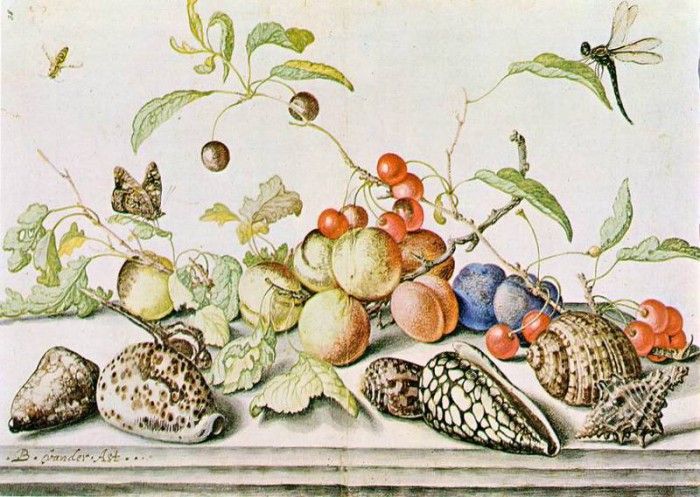 still-life-1628. ,   