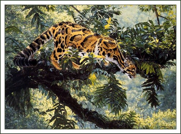 bs-na- Simon Combes- Jungle Phantom. ����, �����