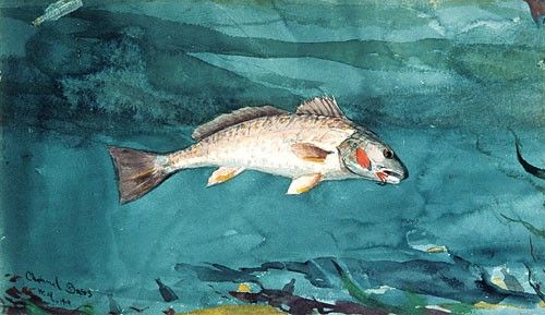 Homer Winslow Channel Bass. , 