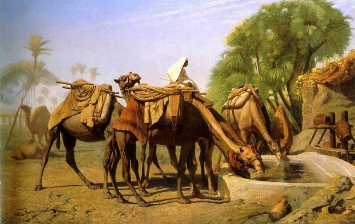 Camels at the Fountain. , -