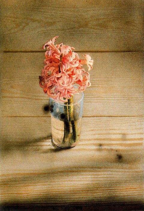 19066. Quetglas, 