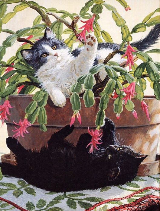 Persis Clayton Weirs - Christmas Cactus, De. ,  