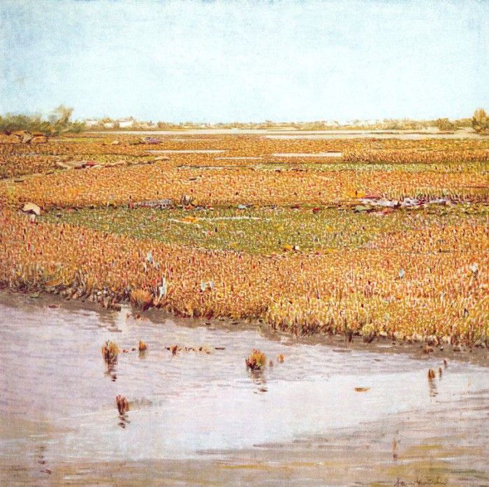 36226. ���������-���������