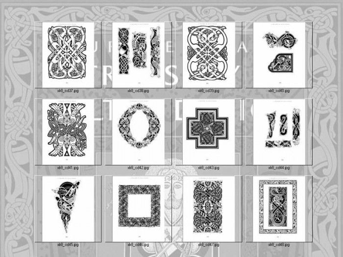 !xlr8 cd idx04. �����, ������