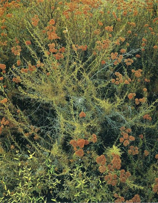 art 712. ������, �����